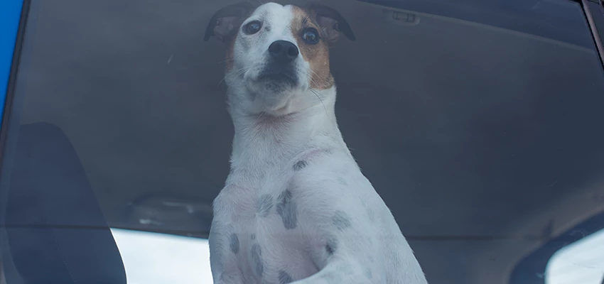 Car Lockout Solutions in Murrieta, California