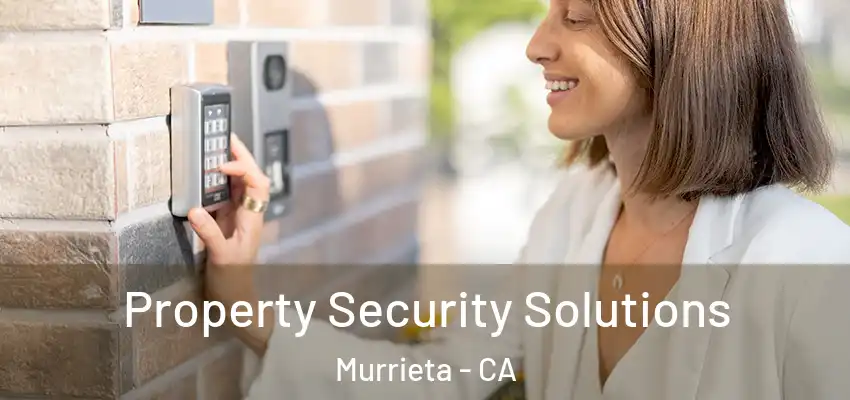  Property Security Solutions Murrieta - CA